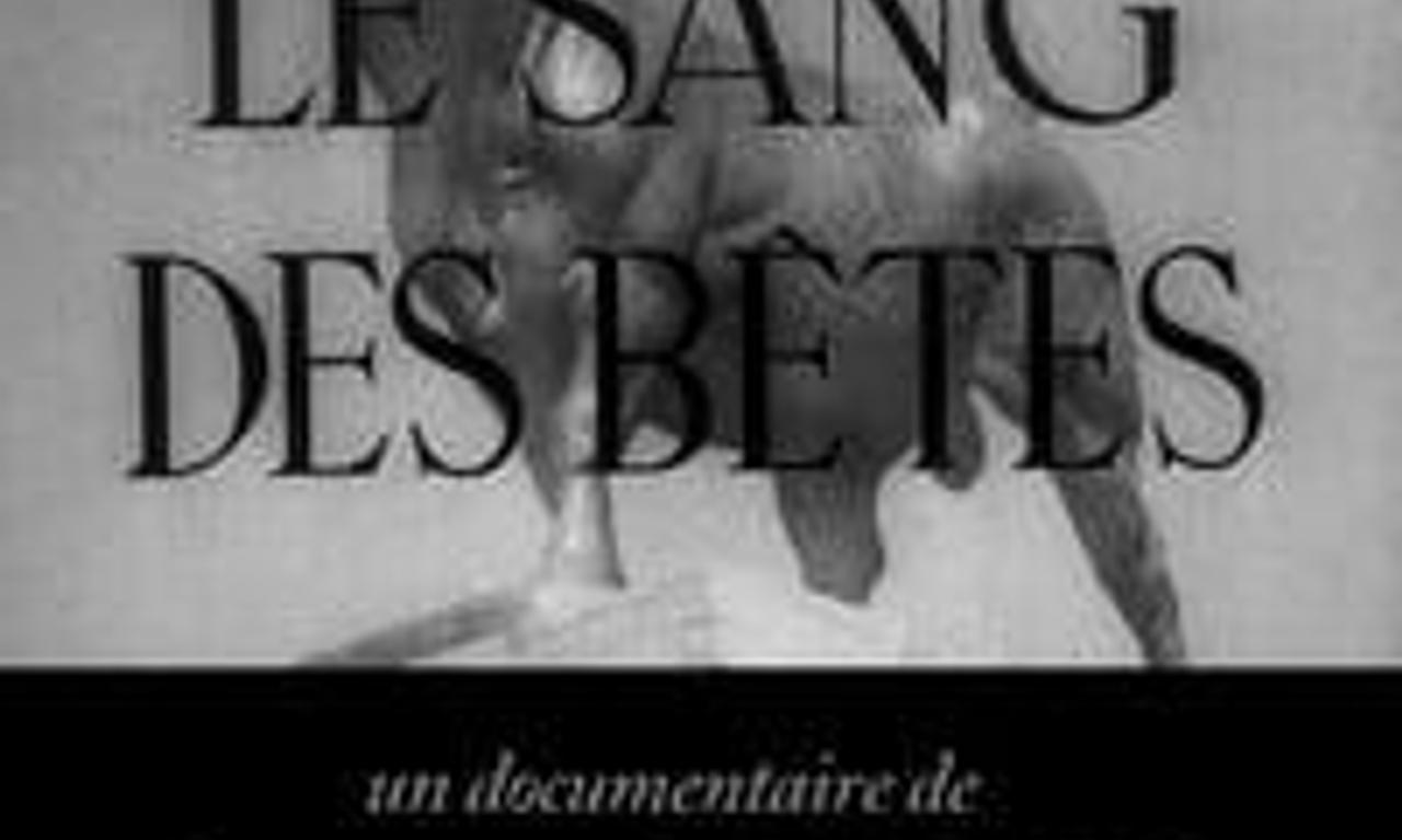 header image for Blood of the Beasts