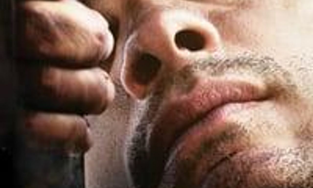 header image for The Ardor