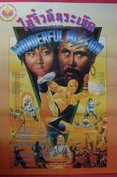 Thunder Ninja Kids: Wonderful Mission