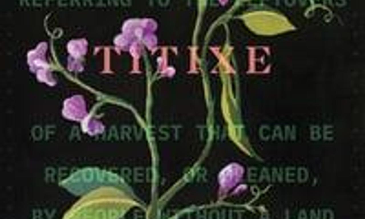 header image for Titixe