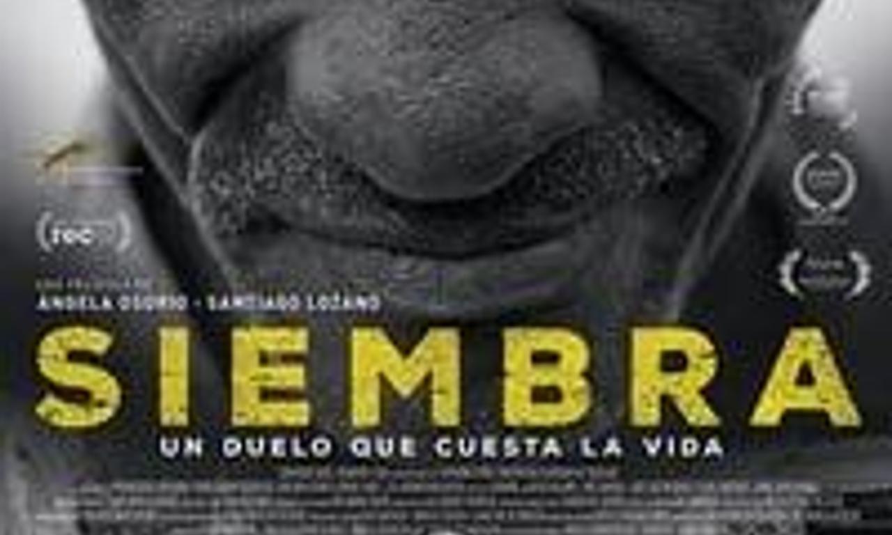 header image for Siembra