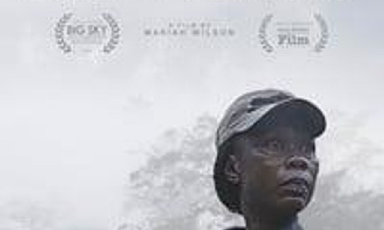header image for Silent Forests