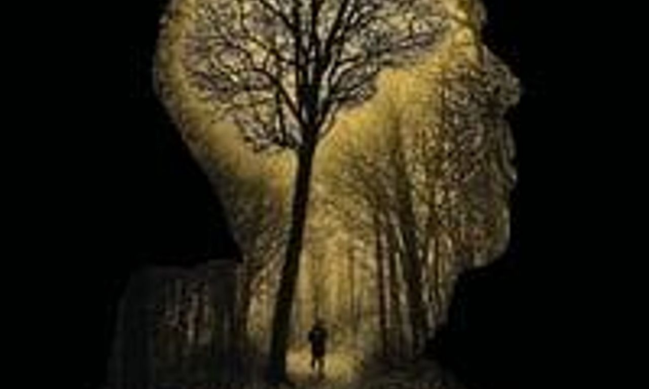 header image for Journeyman