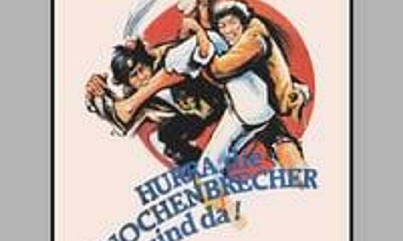 header image for Monkey Kung Fu