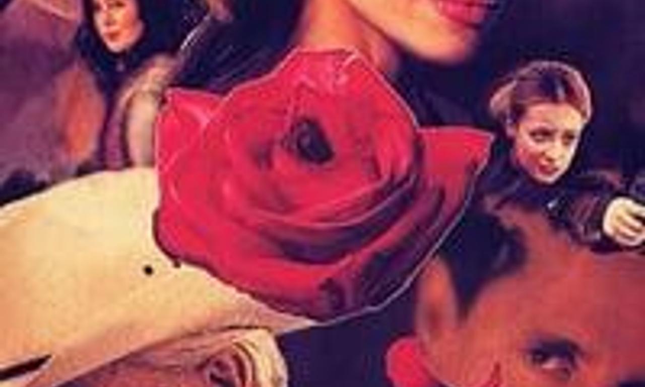 header image for Deadly Attraction