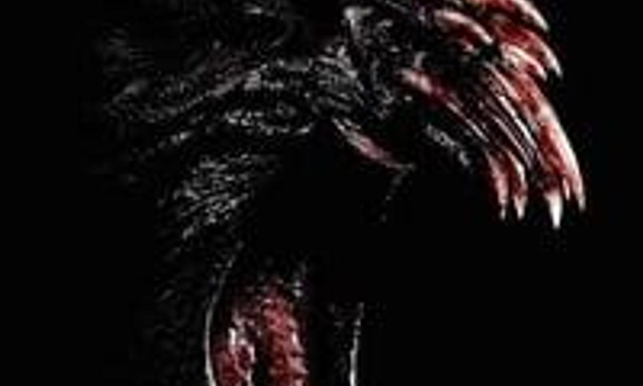 header image for Animal