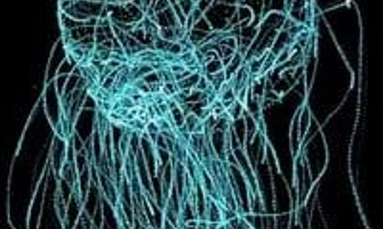 header image for Queering Di Teknolojik