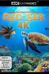 Red Sea