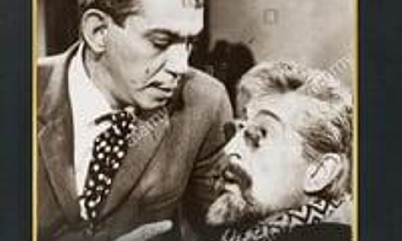 header image for Un Quijote sin mancha