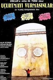 Don't Let Them Shoot the Kite