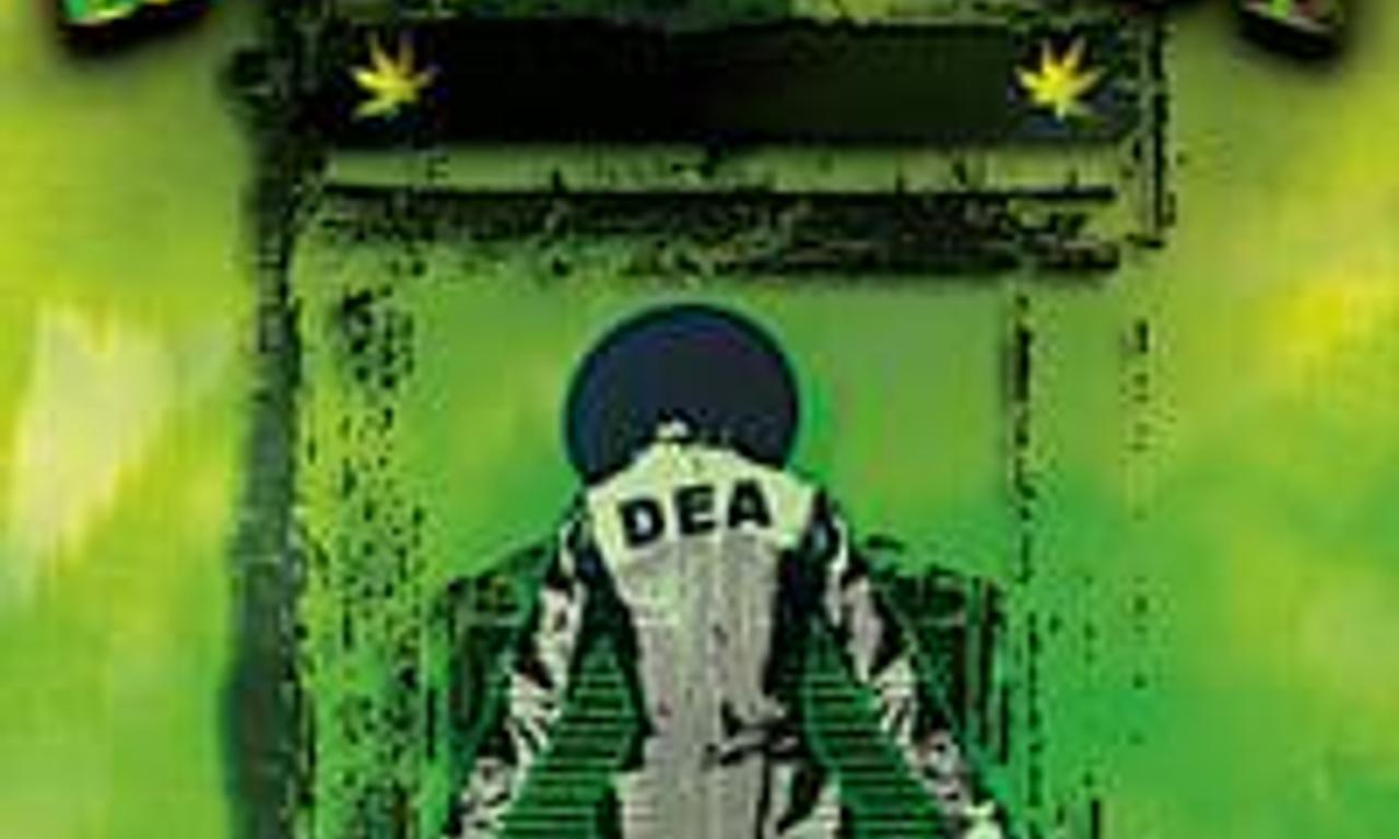 header image for How Weed Won the West