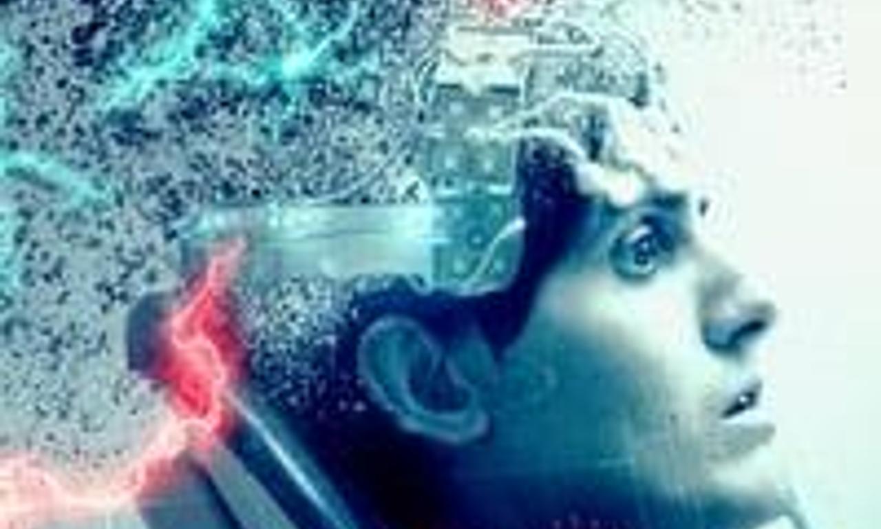 header image for Zoo-Head