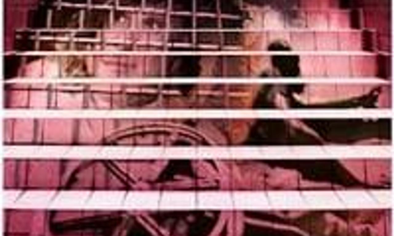 header image for Defiant Lives