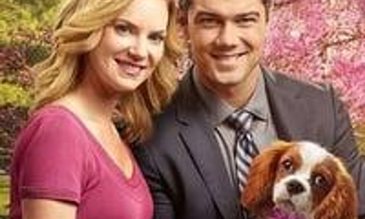 header image for Marrying Mr. Darcy