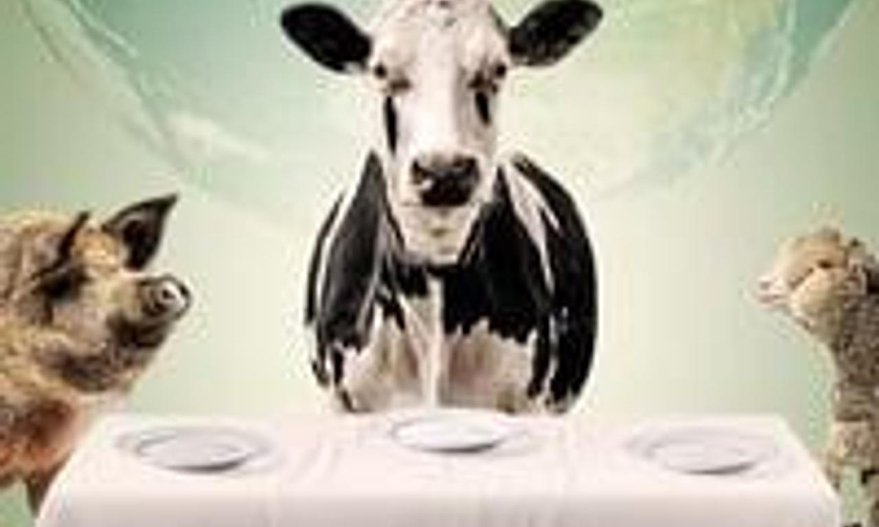 header image for Food Choices