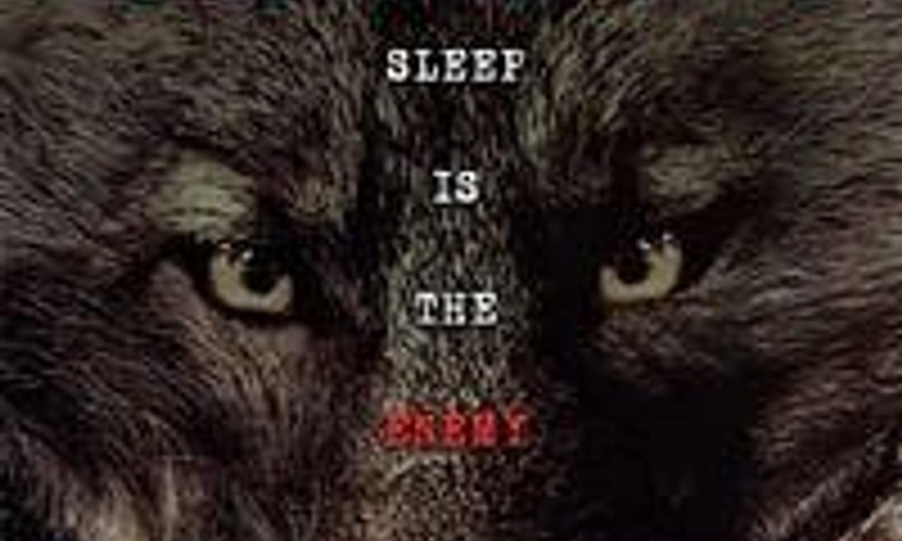 header image for Coyote