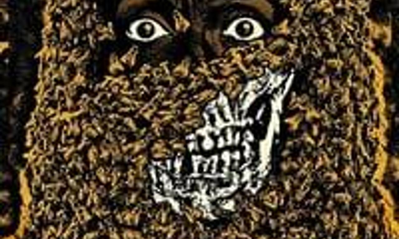 header image for The Bees