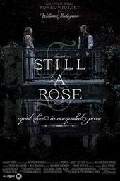 Still a Rose