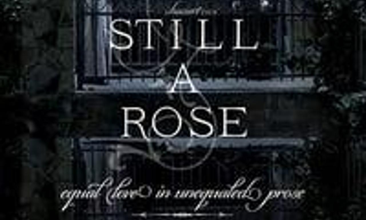 header image for Still a Rose
