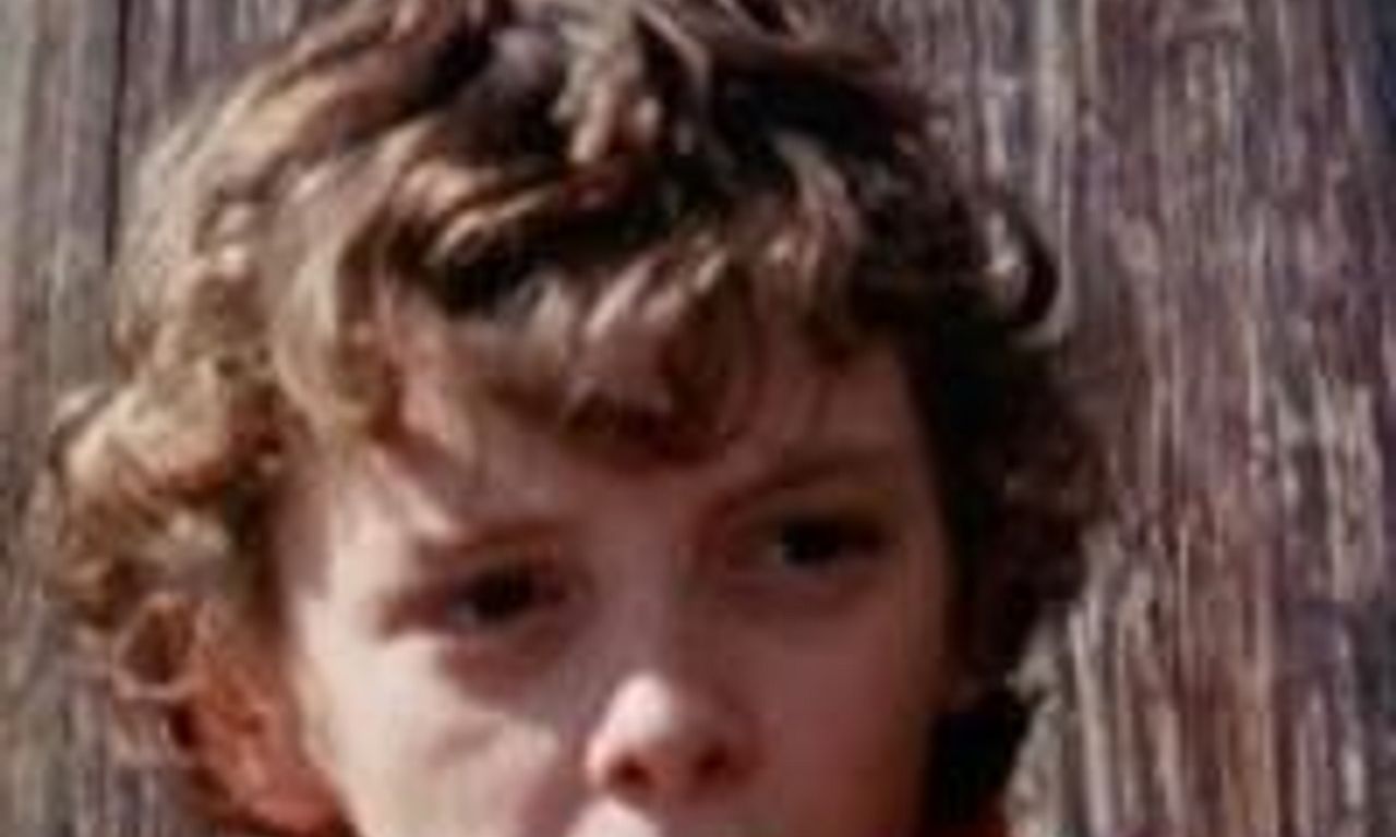 header image for Terry on the Fence