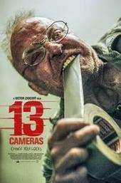 13 Cameras