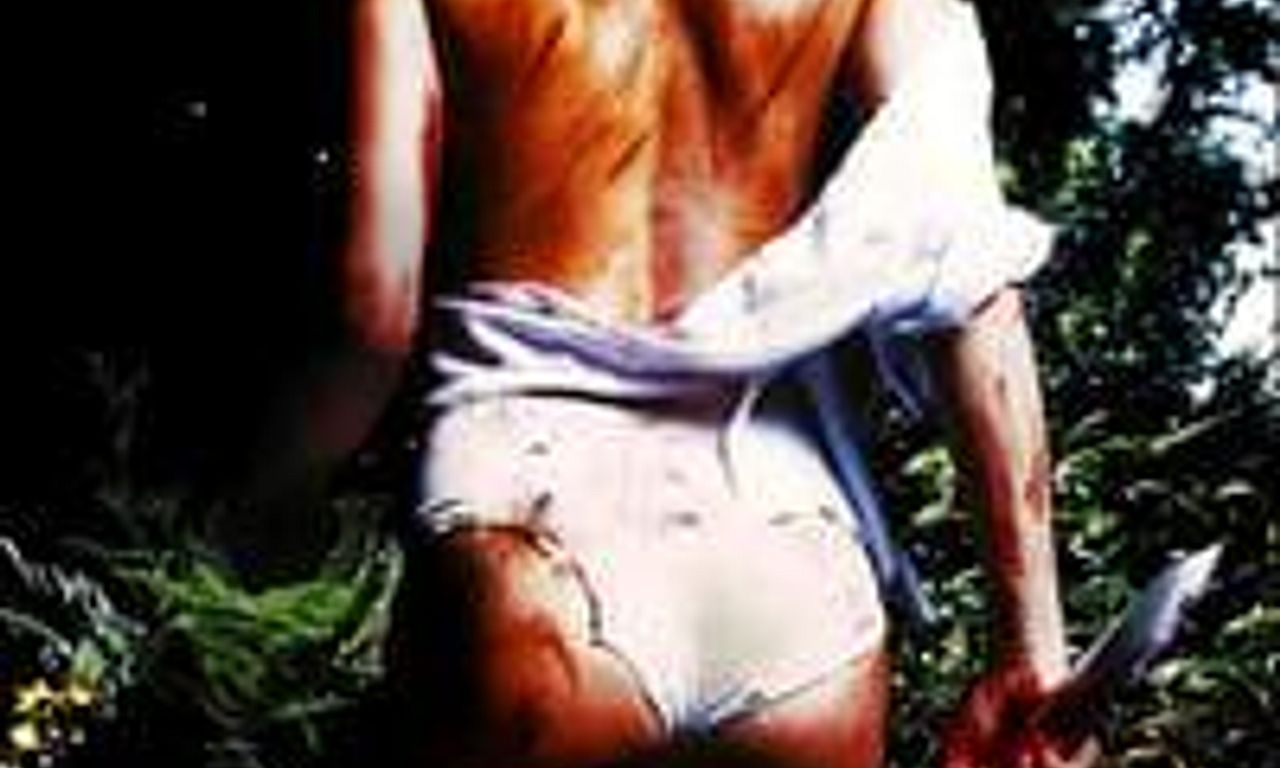 header image for I Spit on Your Grave