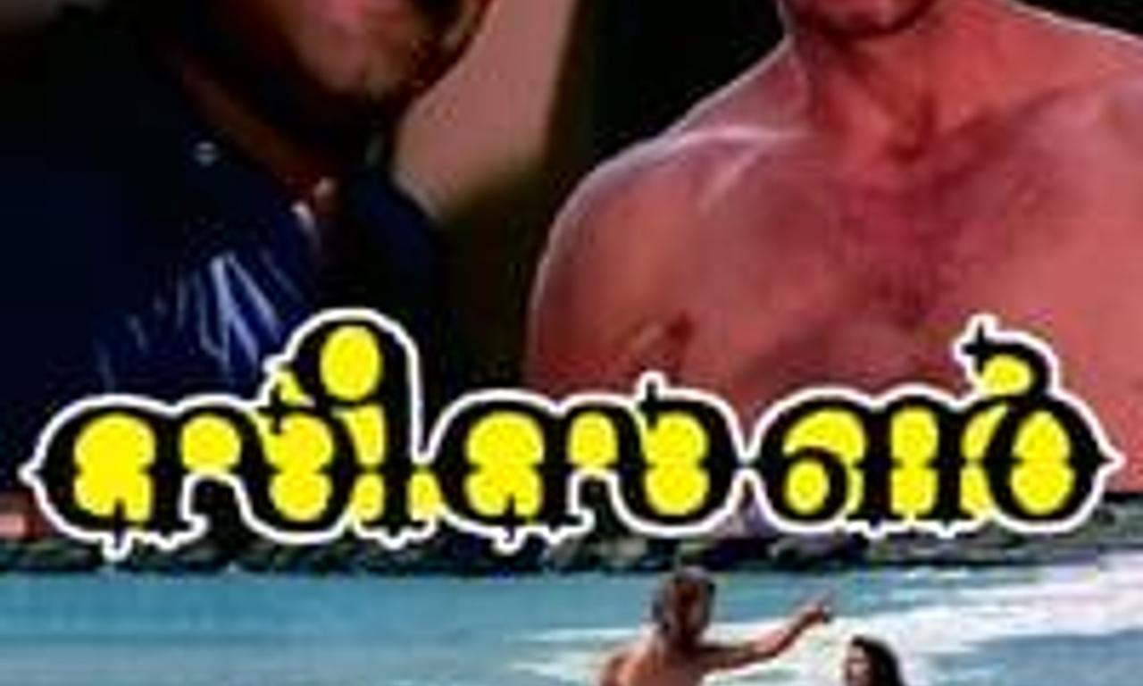 header image for Season