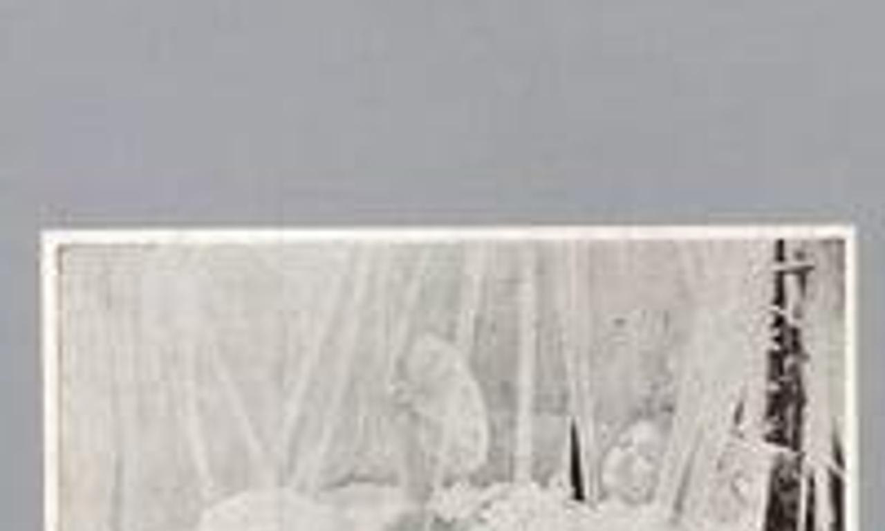 header image for La coquito