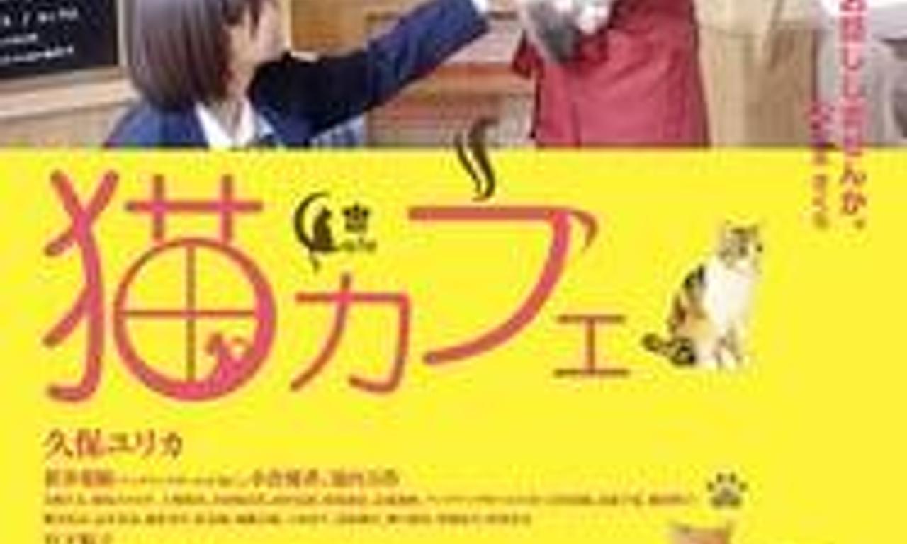 Cat Cafe Where to Watch and Stream Online Entertainment.ie