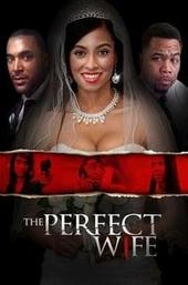 The Perfect Wife