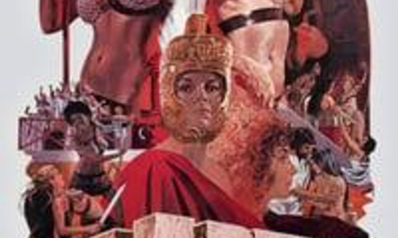 header image for The Arena