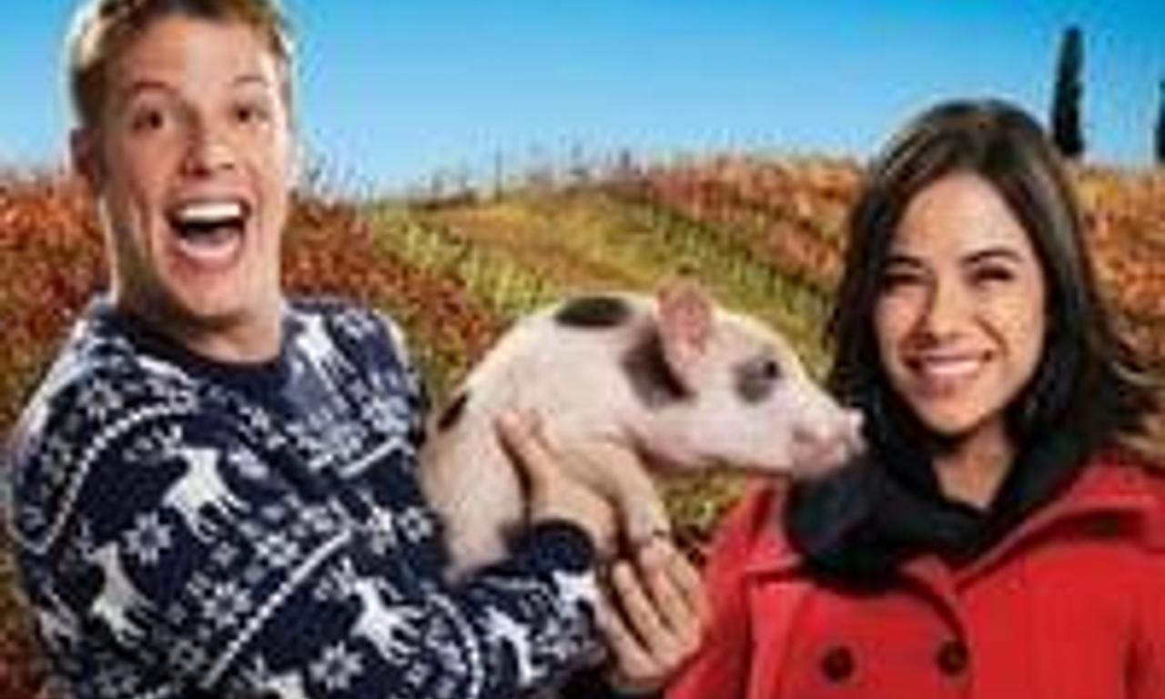 header image for Meu Passado Me Condena 2: O Filme