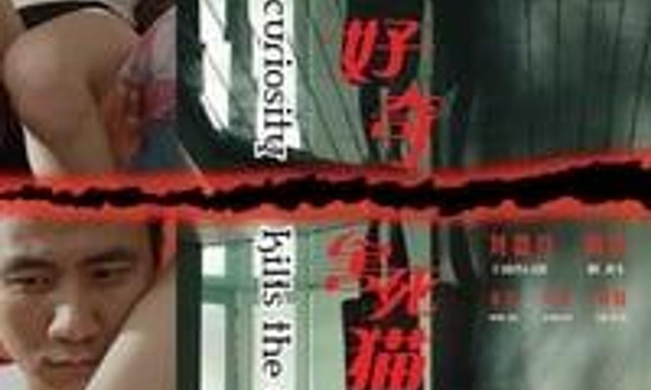 header image for Curiosity Kills the Cat