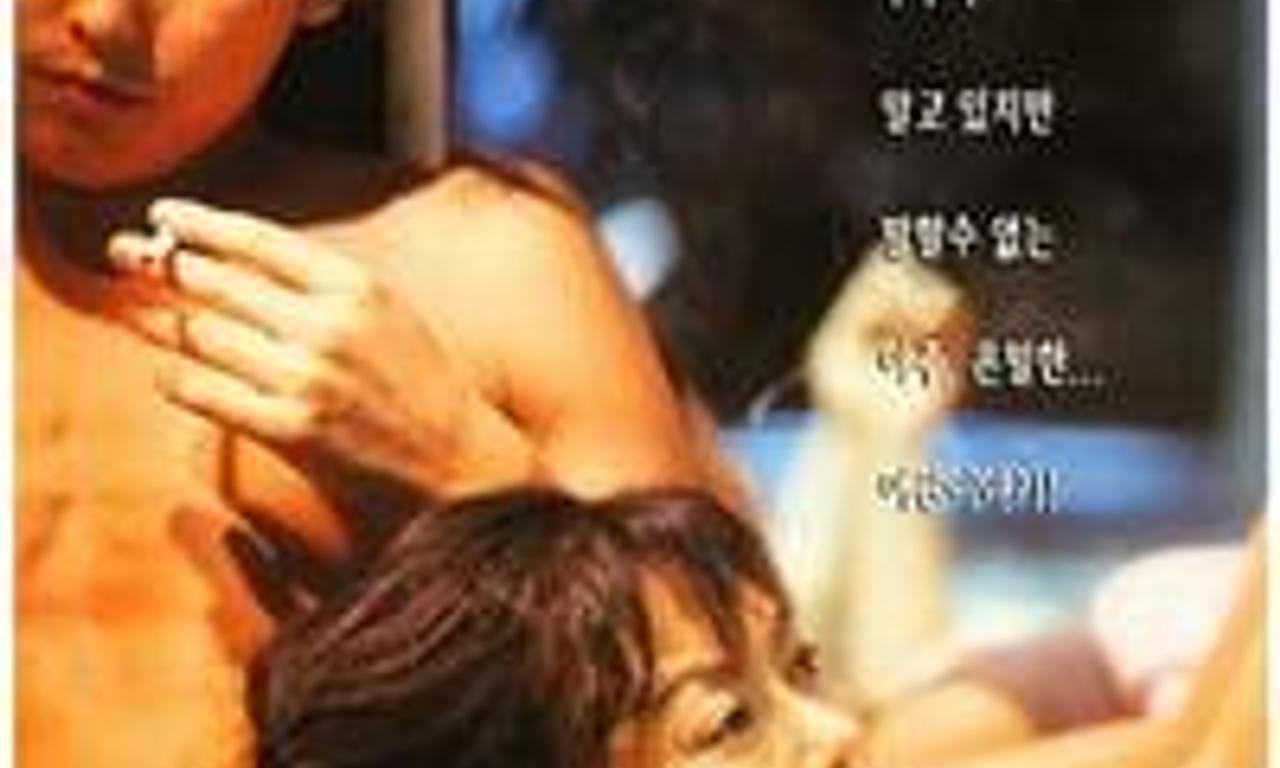 header image for Motel Cactus