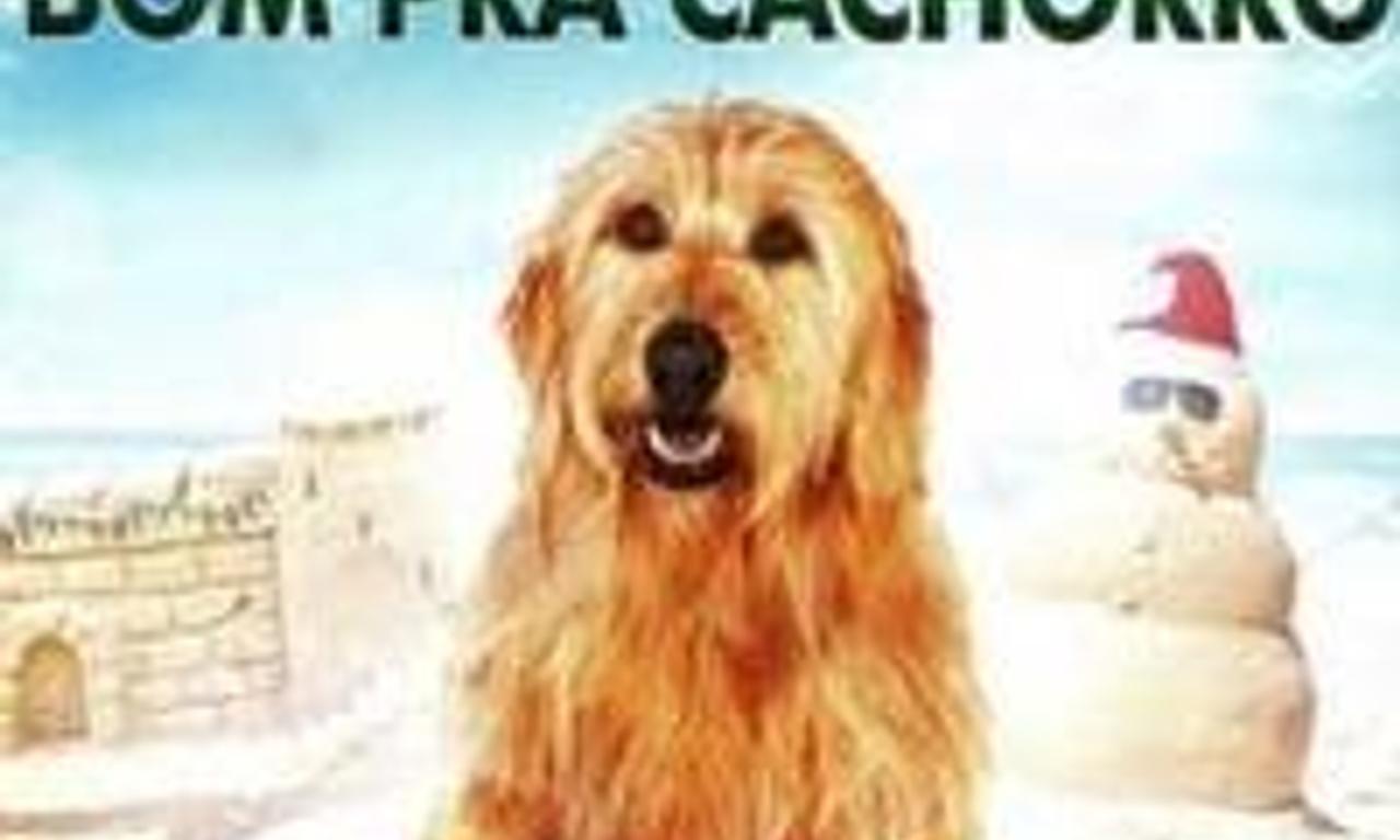 header image for Chilly Christmas