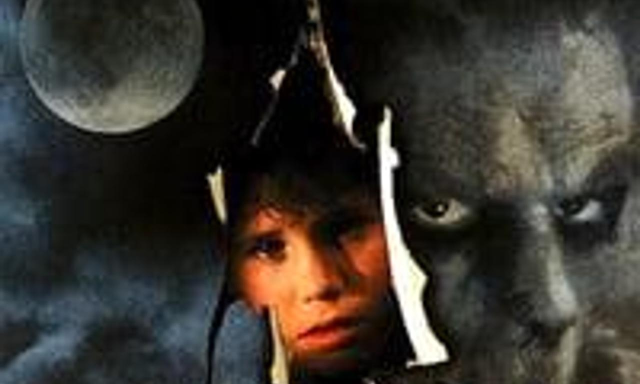 header image for Silver Bullet