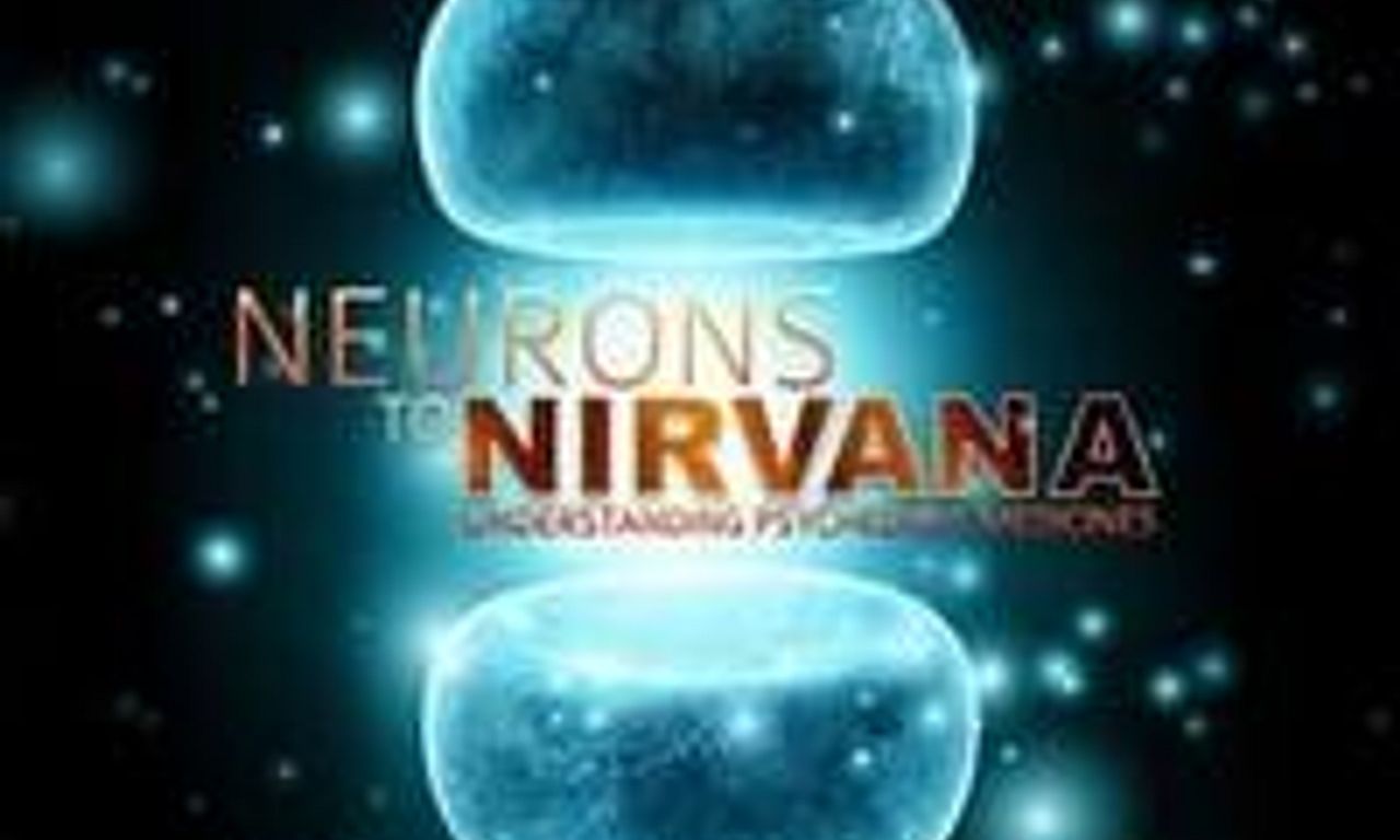 header image for Neurons to Nirvana