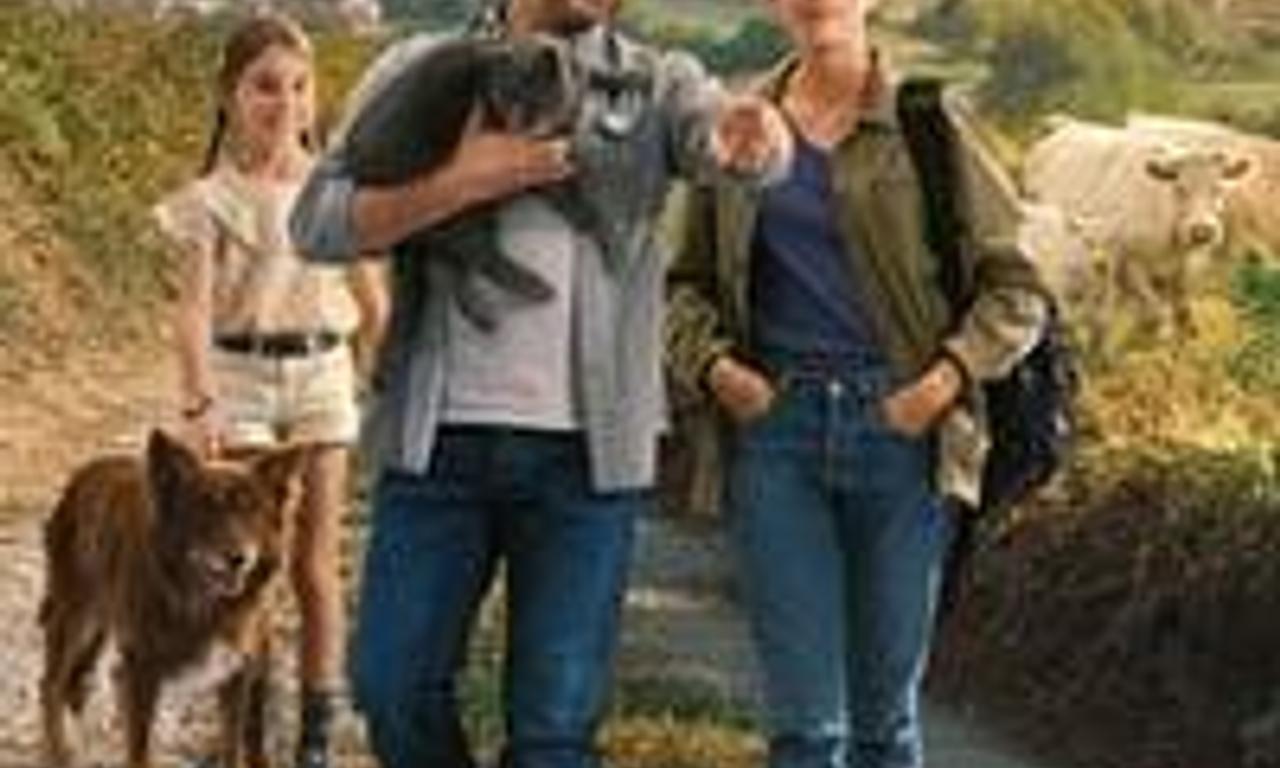 header image for The Vets