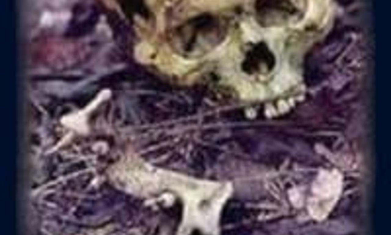 header image for Srebrenica: A Cry from the Grave