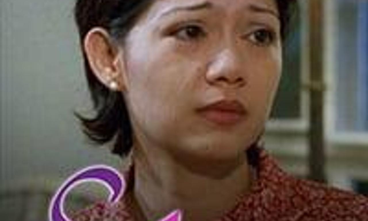 header image for Soltera