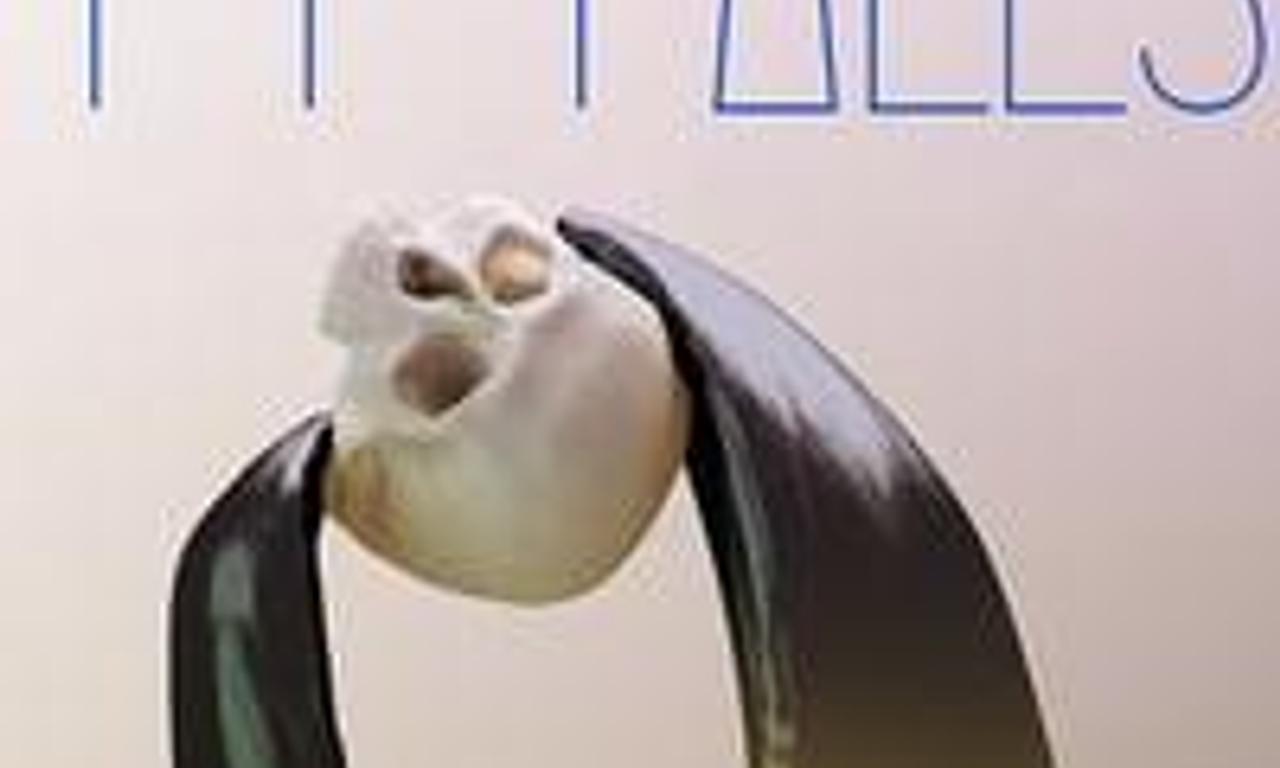 header image for The Falls