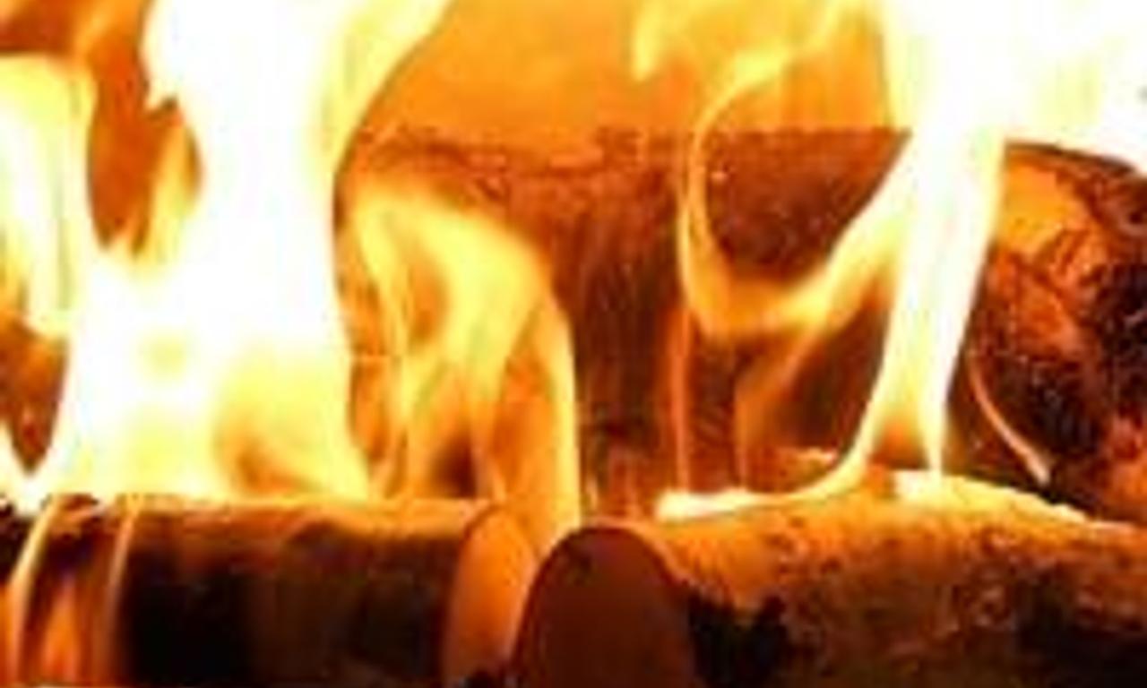 header image for Fireplace for Your Home: Birchwood Edition