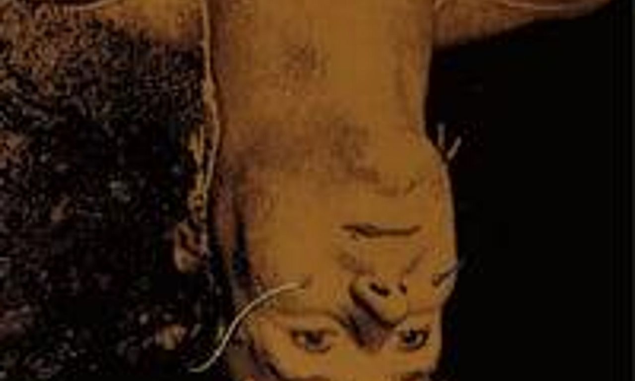 header image for Altered States