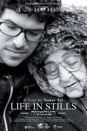 Life in Stills