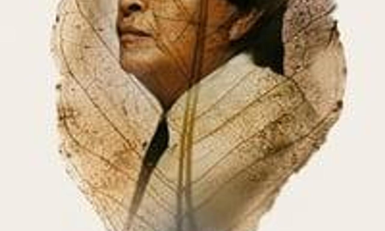 header image for Ex-Shaman