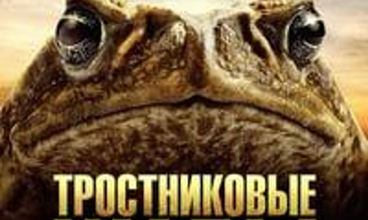 header image for Cane Toads: The Conquest