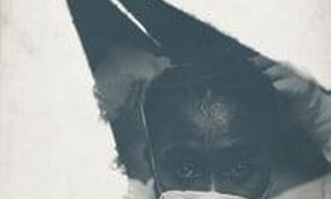 header image for Body Team 12