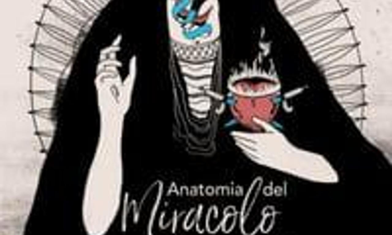 header image for Anatomia del miracolo