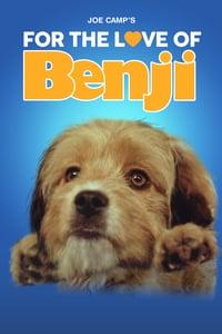 How to watch and stream Benji: Off the Leash! - 2004 on Roku