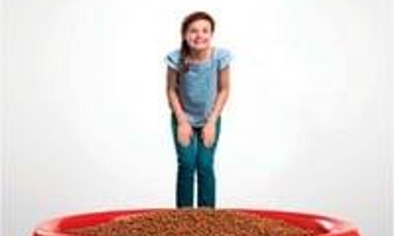 header image for Clifford the Big Red Dog